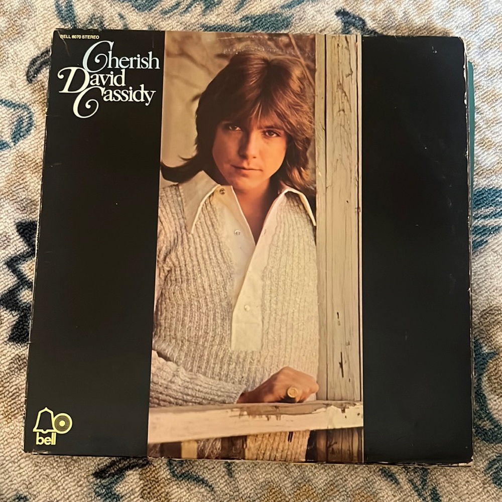 David Cassidy vintage vinyl record
